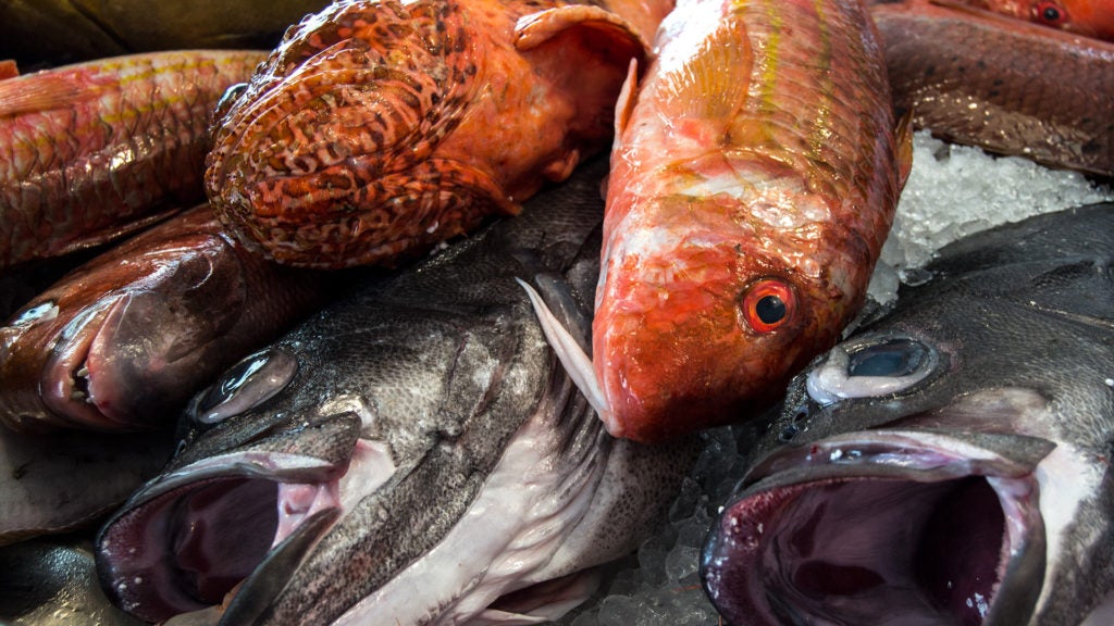 Restaurantes Los Marinos José en Fuengirola. 