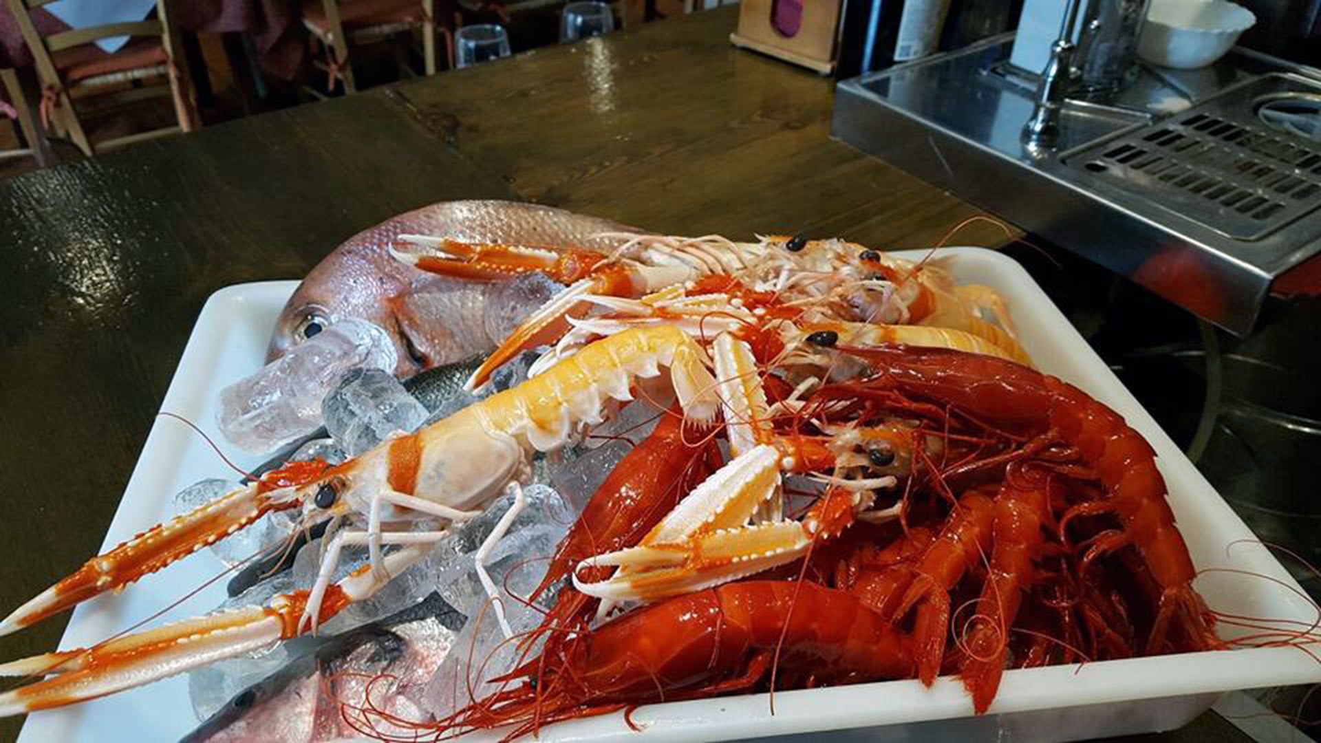 Todo sobre Mesón Arenal en Marbella, provincia de Málaga