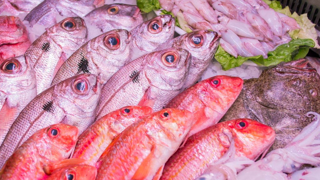 restaurante jacinto en malaga 10. 