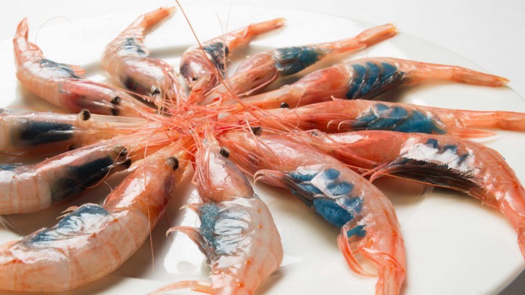 restaurante hermanos alba 10. 