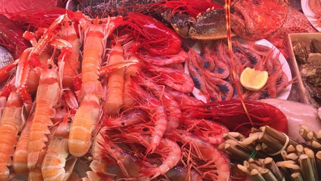 restaurante la escollera en estepona. 