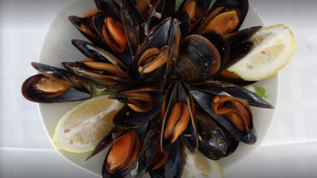 antigua casa de botes 3. 