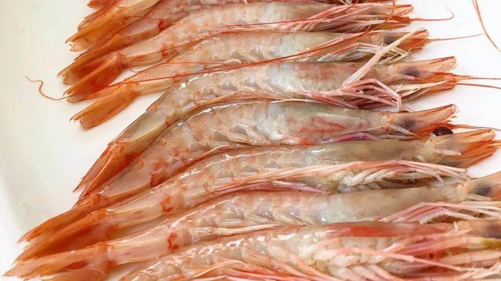 marisco en restaurante mezquitilla en algarrobo. 