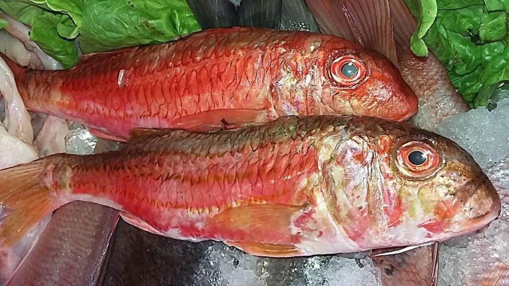 marisqueria doramar puerto en malaga capital 9. 