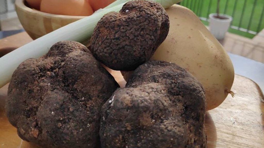 restaurante la caseria en malaga capital 6. 