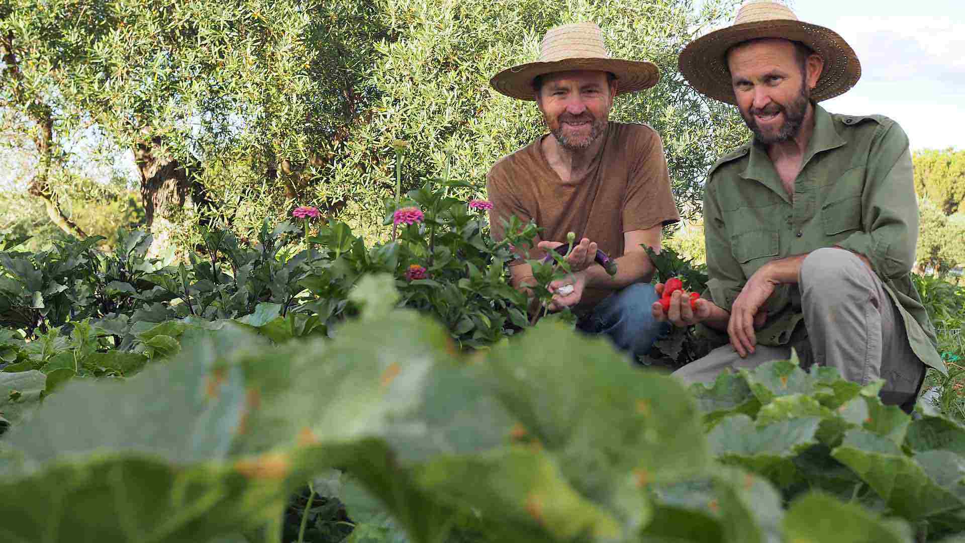 Sebastián y Cristóbal Hevilla: “Es buen momento para que restauración y pequeños agricultores hagamos borrón y cuenta nueva y empecemos a trabajar juntos”