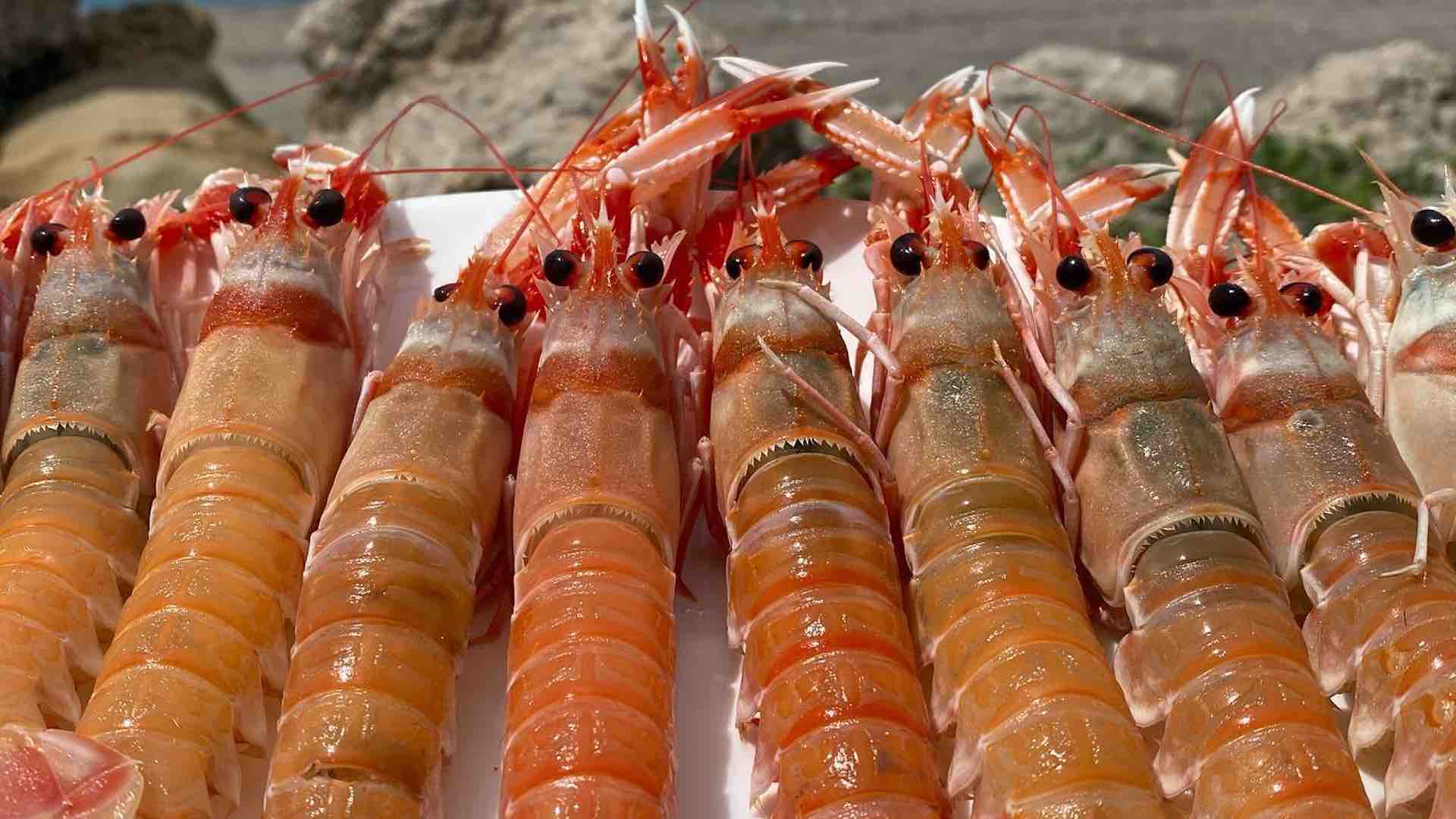 Restaurante El Saladero