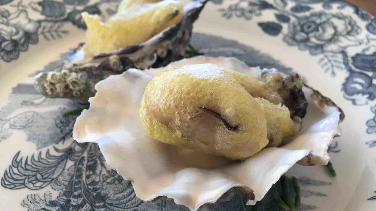 Disfrute a cargo de Miguel Palma