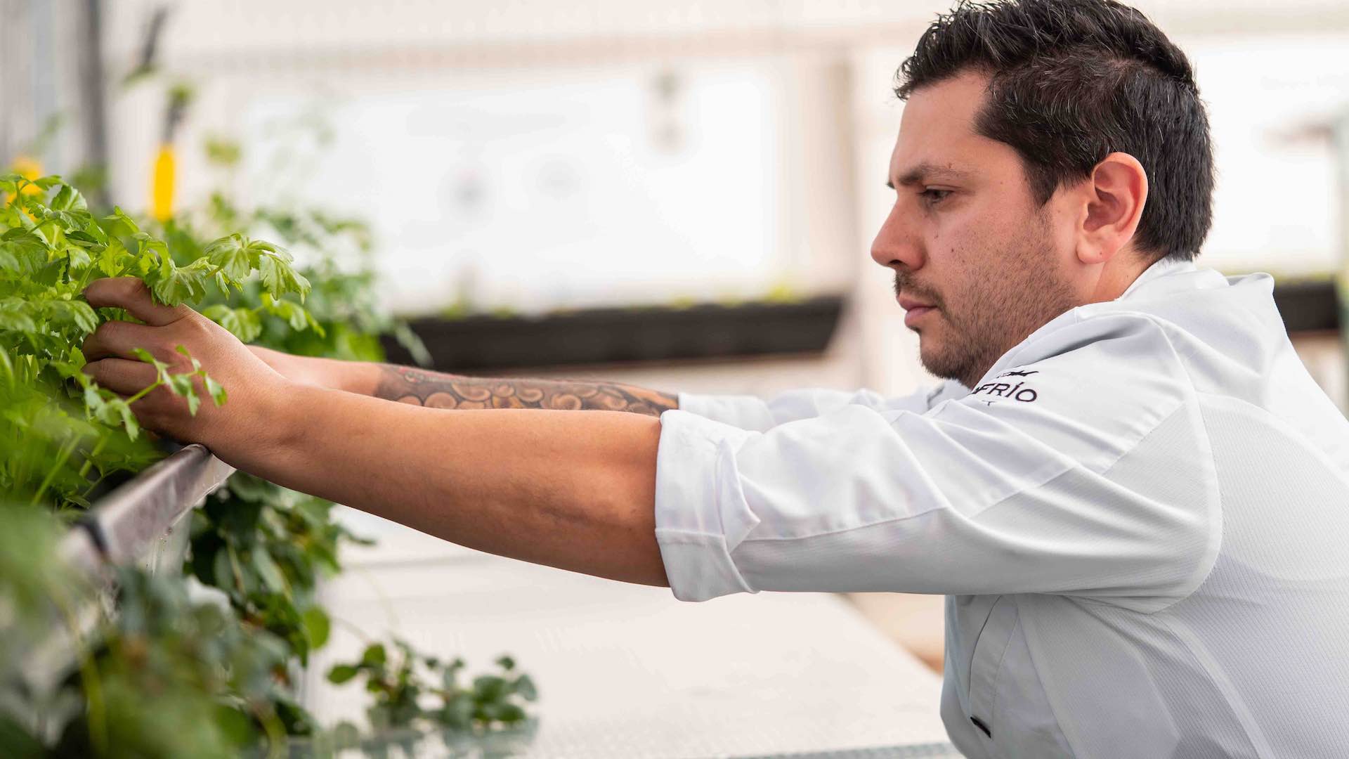 Sollo, Premio Nacional de Hostelería 2020 por su compromiso con la sostenibilidad