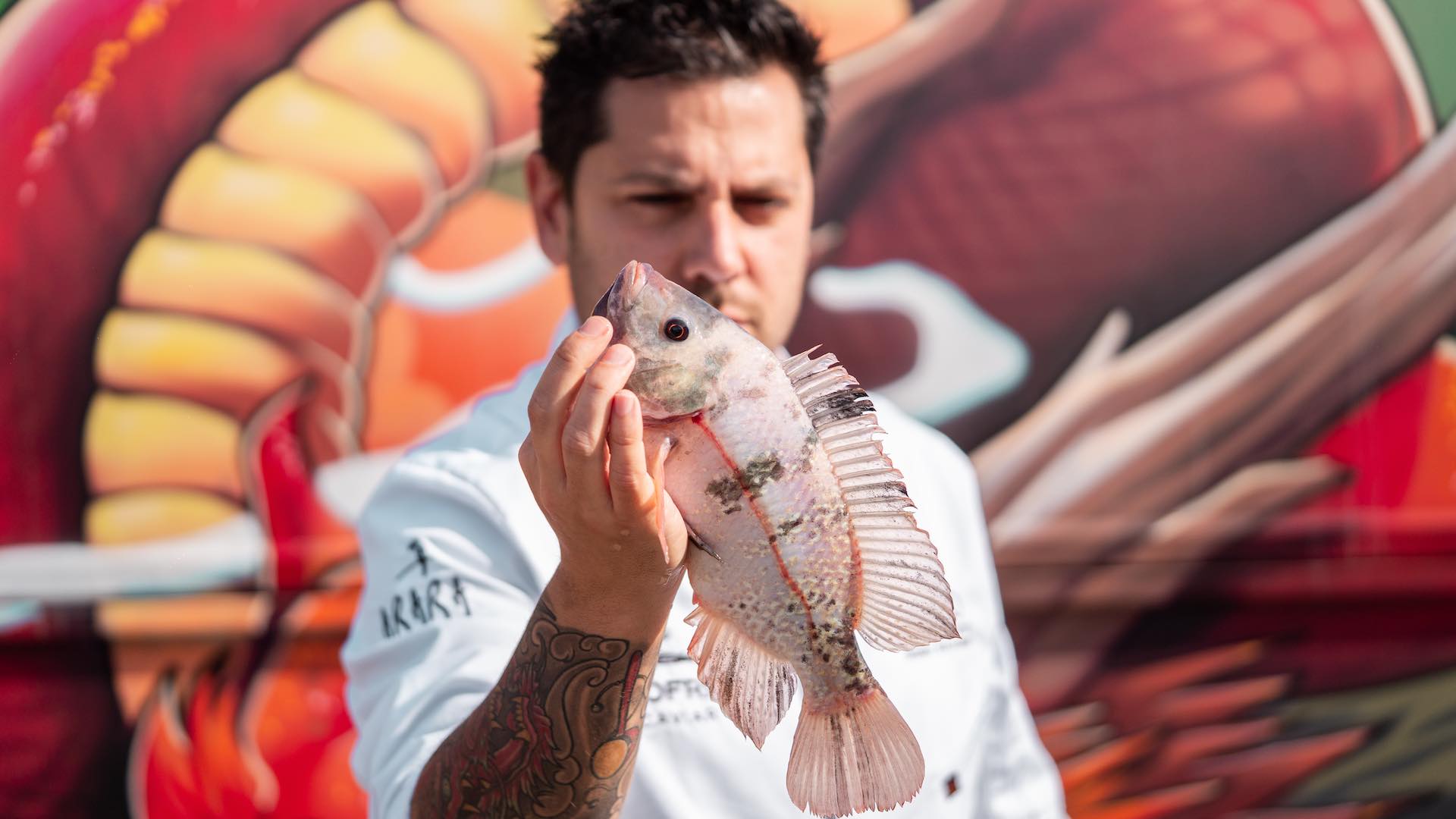 El compromiso con la sostenibilidad de Diego Gallegos, la primera ‘Estrella Verde Michelin’ de la provincia