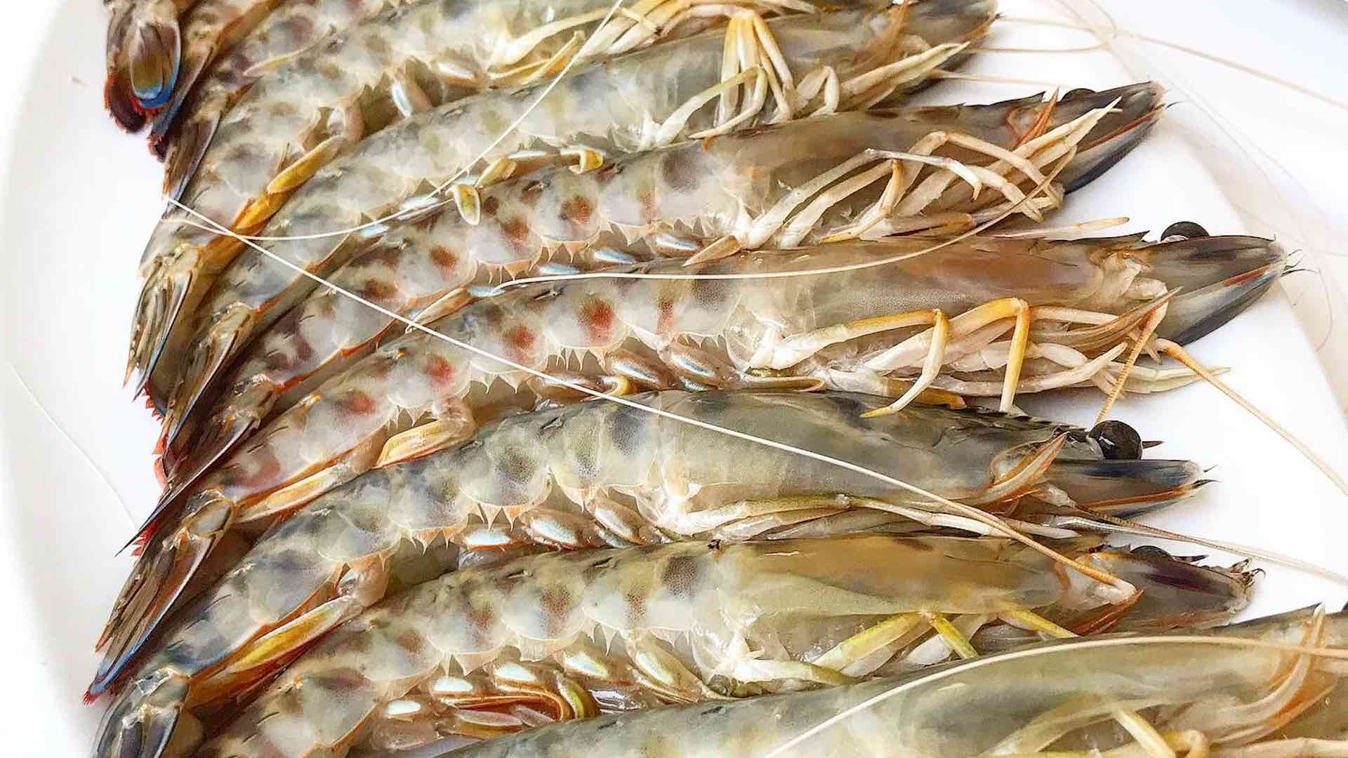 Una de las cocinas de producto más destacadas de Ma?laga