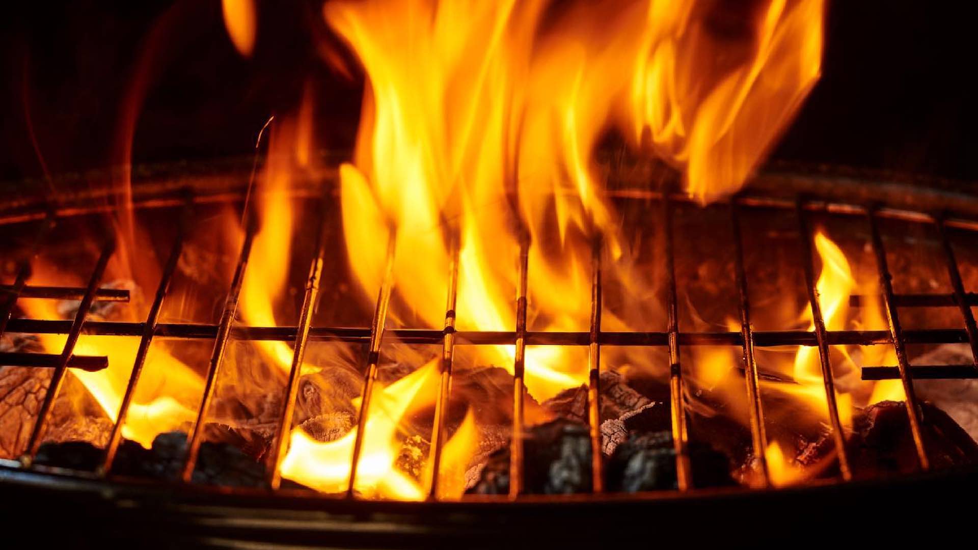 Mar de Verum va tomando forma: Así avanza el nuevo proyecto de Jorge Berzosa