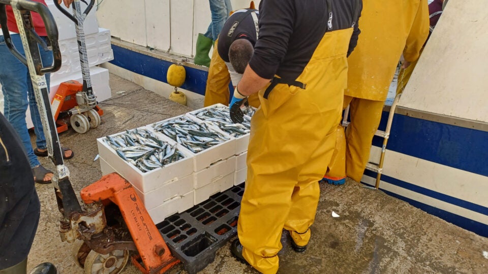 Una mañana en la lonja de Caleta: así es uno de los puertos más importantes de Málaga