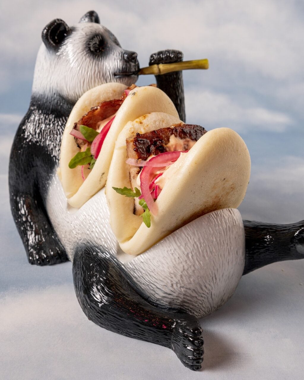 257571972_219108567027977_769698650017795996_n. 