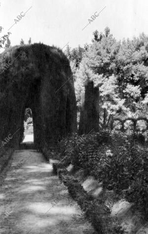 Un rincón de los Jardines de Aranjuez