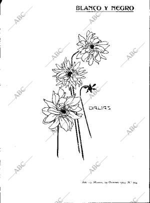 BLANCO Y NEGRO MADRID 29-10-1904