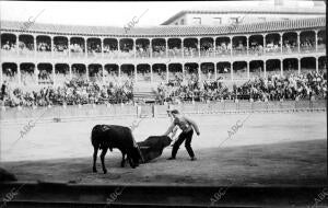 becerrada de los Carniceros: el joven Faustino Lázaro Pasando de muleta al 4º de...