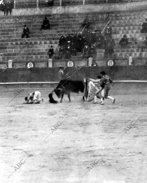 Cogida de Andrés del Campo (Dominguín) por el primer bicho de la novillada de...