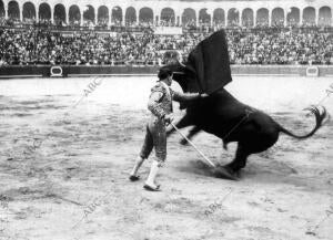 Zapaterito Pasando de muleta