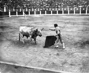 Gijón. Cocherito Preparando A uno de sus Toros