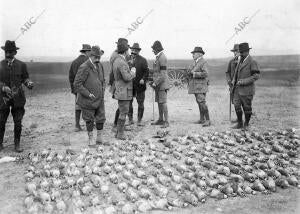 S. M. el Rey y los demás Cazadores ante El "Cuadro" Formado con las Aves Muertas...