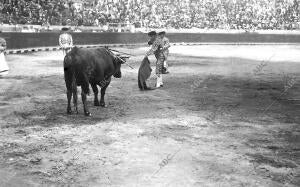 Regaterín, Perfilándose para entrar A su segundo Toro