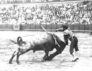 Luis Freg, Matando al quinto Toro - foto Baldomero Rodriguez