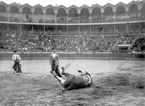 Cochero Viendo rodar A su Toro después de una gran Estocada