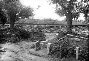 Plaza del mercado de Ganados de Elizondo, cubierta de Broza, después de la...