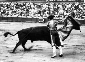 Bonarillo (Hijo), Toreando de capa