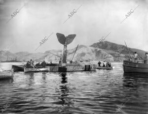 Situación en que Quedó al caer al mar el hidroplano Pilotado por D. Roberto...