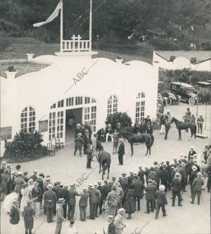 San Sebastian. Las Carreras de Caballos. Subasta de Caballos en el hipódromo