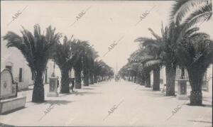 Paseo de la avenida Angel Reyes, en isla Cristina (Huelva)