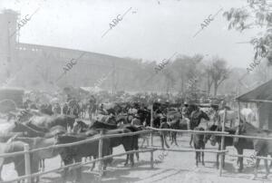 La Feria de san Miguel en 1923, junto A la plaza de España, que Estaba en...