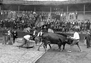 Aspecto de la plaza de toros durante las pruebas de arrastre de piedras por...