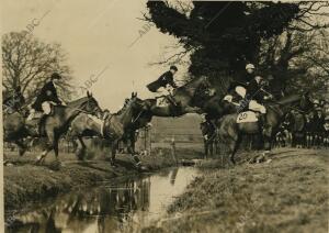 El Príncipe de Gales, Eduardo VIII saltando en una carrera de caballos