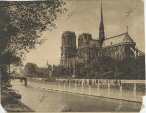 La catedral de Notre Dame y el Sena