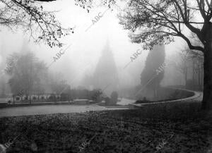 (CA.). El Parque del Retiro en un día de otoño