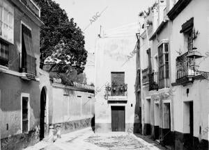 Calle Vida