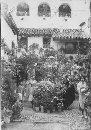 Primer premio Concedido al patio de la calle Badanas, número 15