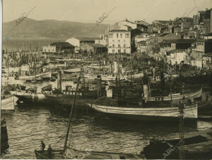 Vista parcial del puerto de la Ribera del Berbés