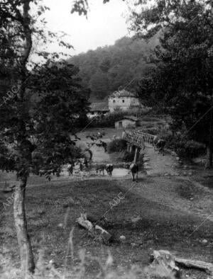 Paisaje del pueblo Saro (Cantabria)