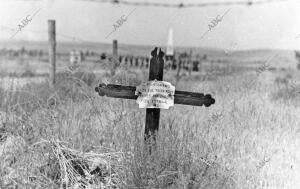 Una de las Seiscientas Cruces que Cubren los Campos de Paracuellos del Jarama