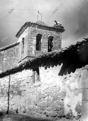 Cigüenas en el Campanario de la iglesia del pueblo Cabrerizos