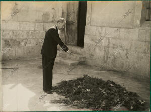 Rincón del patio de la cárcel de Alicante donde fue fusilado José Antonio Primo...