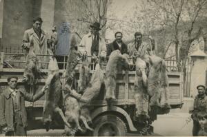 En una batida dada en los montes de Las Navas del Marqués y Peguerinos, por un...