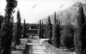 Desde un Jardín, vista de Sierra Blanca en Fuengirola (Málaga)