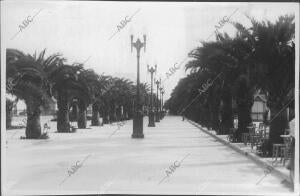 Un aspecto del parque de Calderón, del puerto de santa María, Cádiz