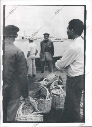 Pescadores en el puerto de Ayamonte