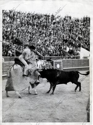 Luis Miguel Dominguín Colocando un puyazo al Toro que el diestro Regaló A la...